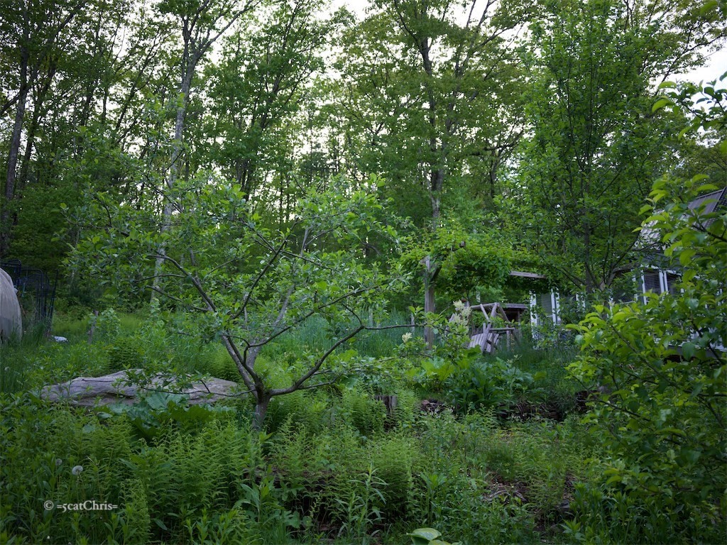 999 Sheldon Road Barre, MA 01005 - Photo 34 of 41 Gallery Image 34