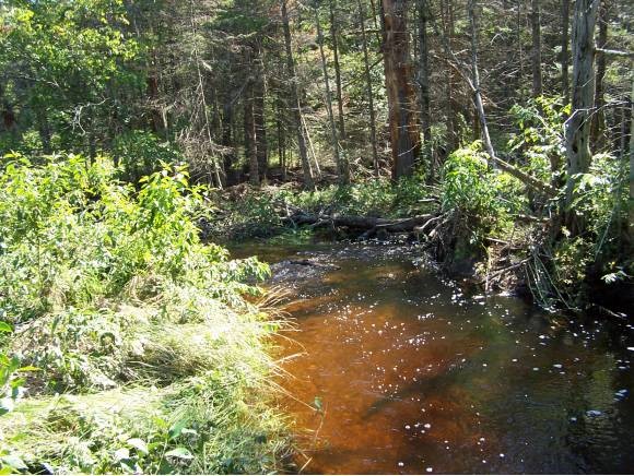 220 Reservoir Road Plymouth, NH 03264 - Photo 11 of 11 Gallery Image 11
