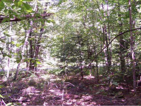 220 Reservoir Road Plymouth, NH 03264 - Photo 8 of 11 Gallery Image 8