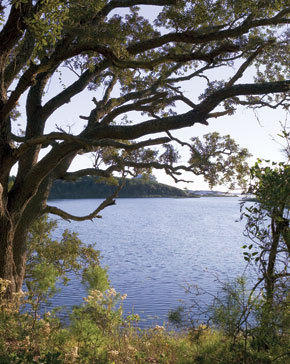 Lot 1 Thistle Lane Santa Rosa Beach, FL 32459 - Photo 1 of 11 lake-trees