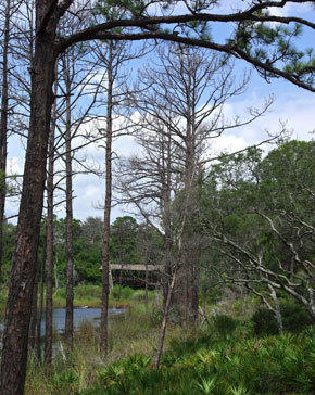 Lot 1 Thistle Lane Santa Rosa Beach, FL 32459 - Photo 8 of 11 lake
