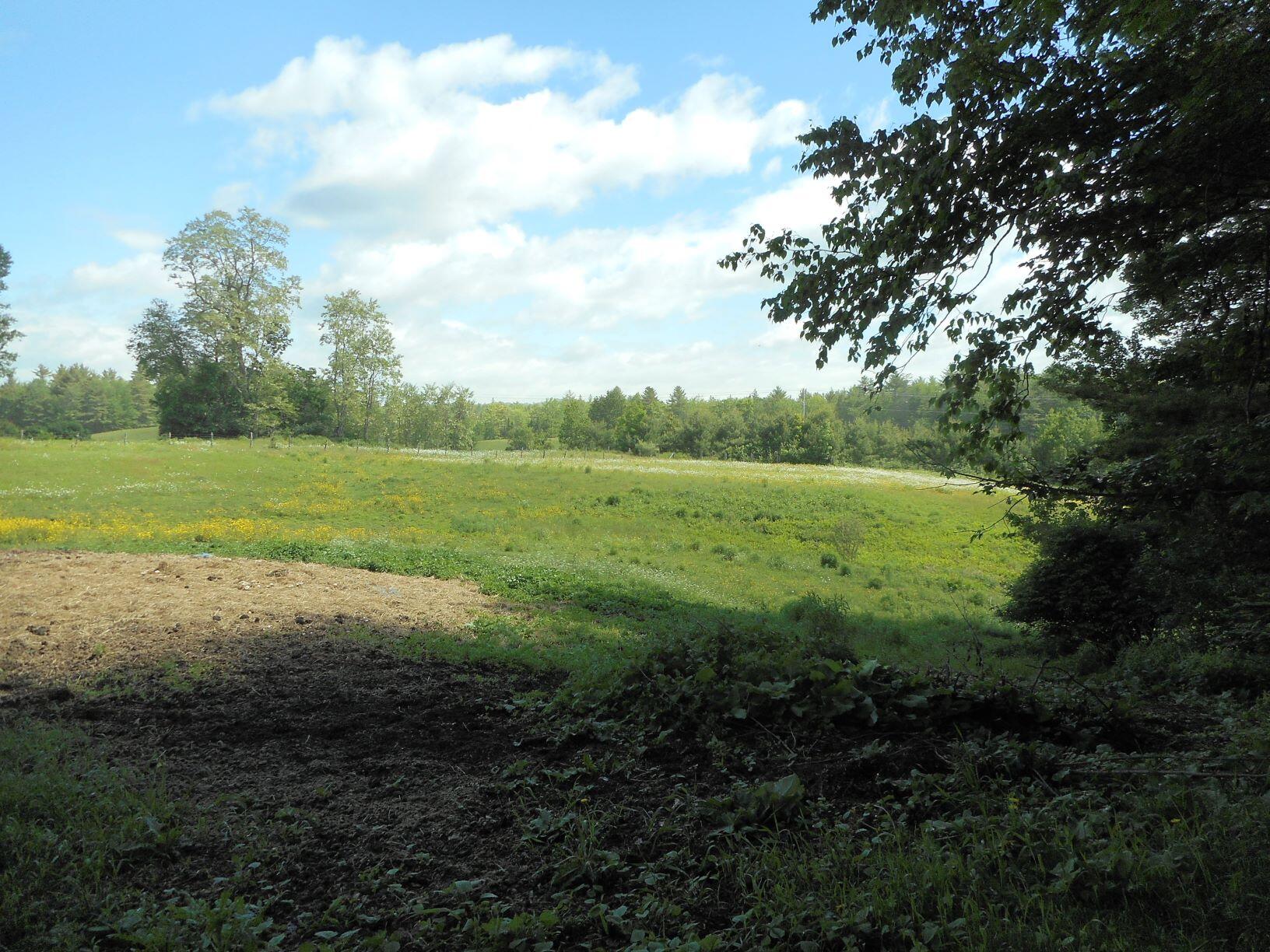 2230 Belgrade Road Sidney, ME 04330 - Photo 16 of 32 Pasture