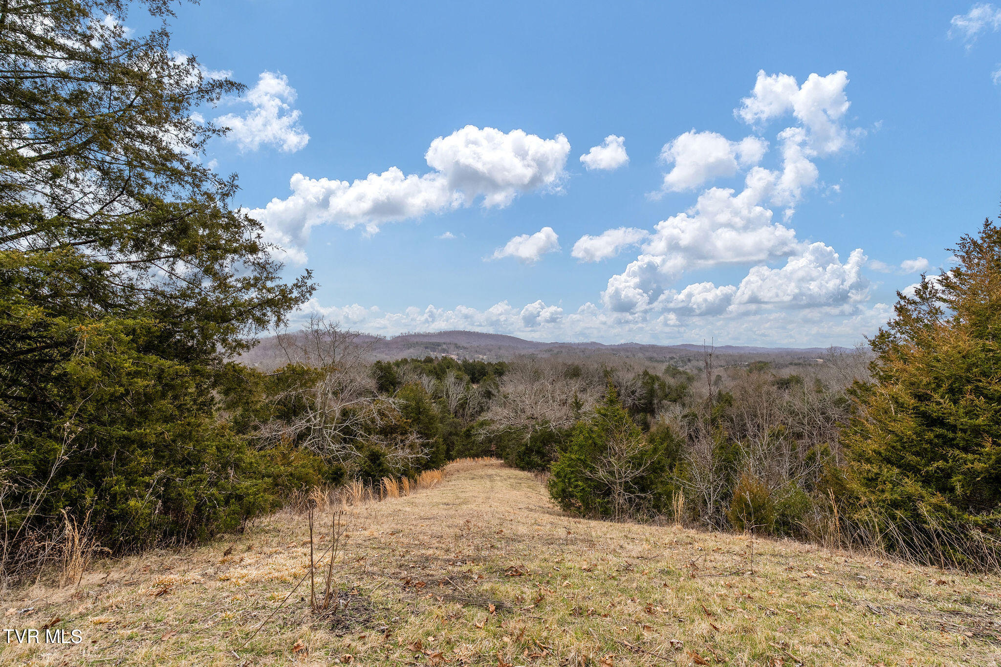 Tbd Smithtown Road Afton, TN 37616 - Photo 29 of 52 DSC03781