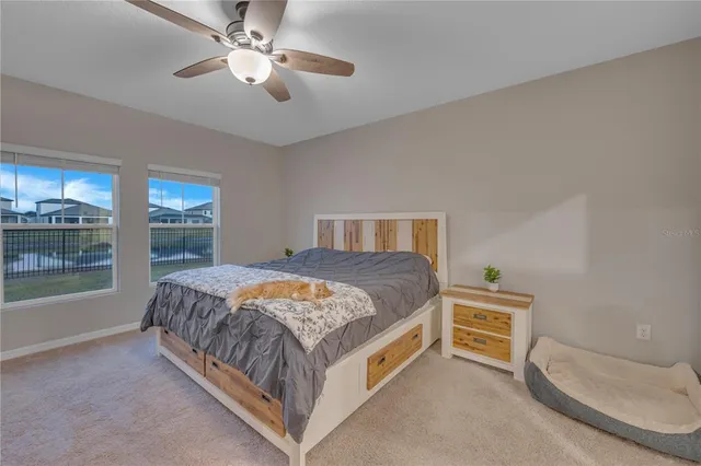 a bedroom with a large bed and a chandelier