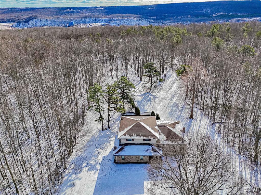 551 Birch Road Hazleton, PA 18202 - Photo 4 of 44 a view of a yard with an outdoor space