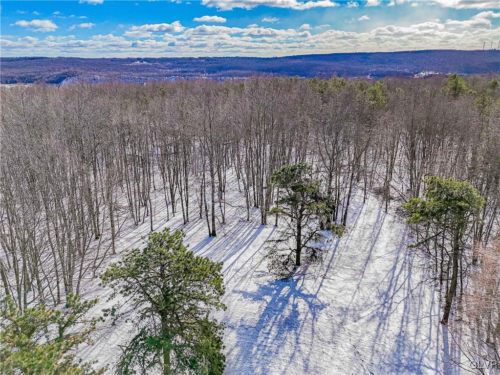551 Birch Road Hazleton, PA 18202 - Photo 43 of 44 a view of ocean view with beach