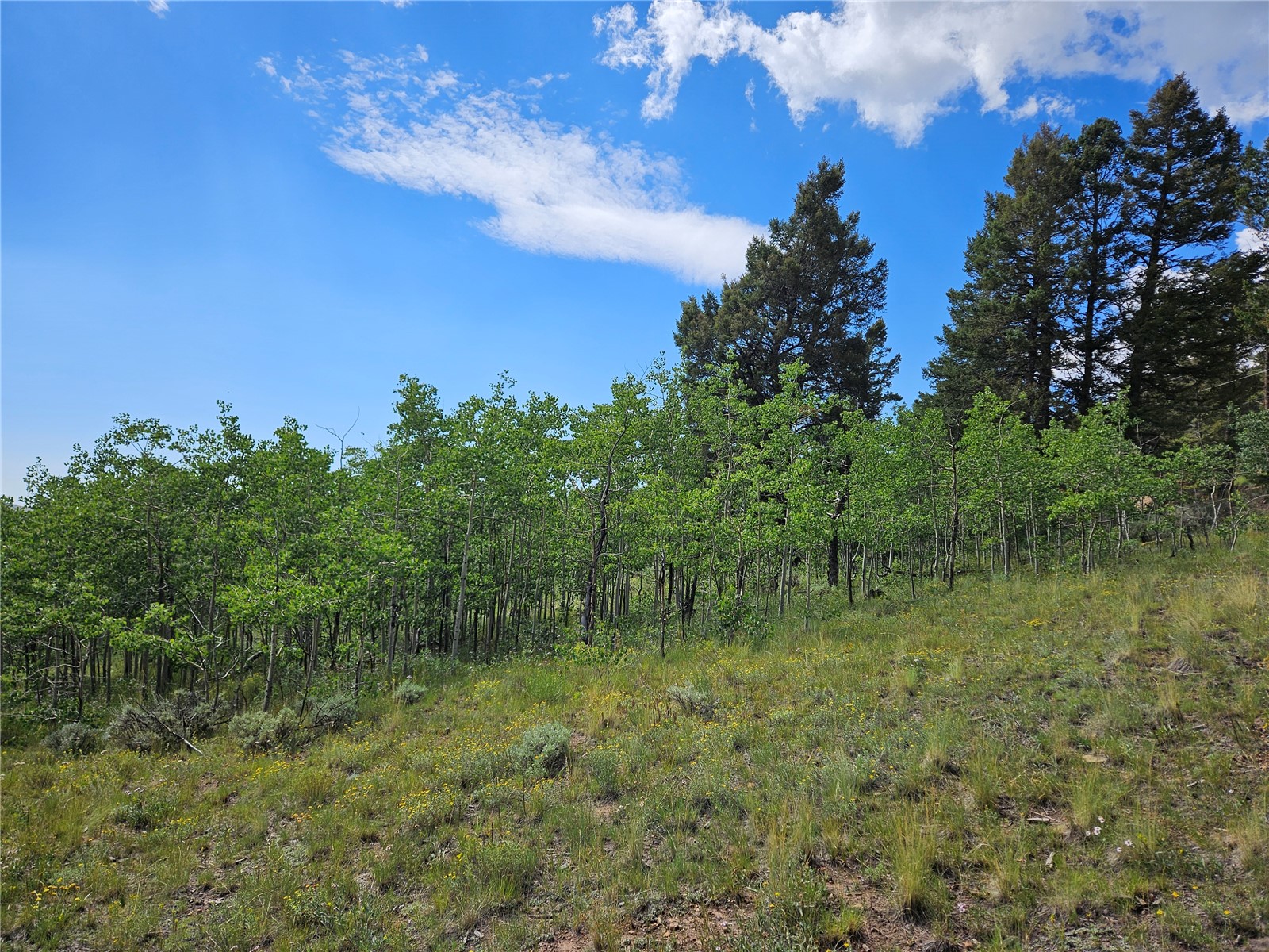 3062 Redhill Road Fairplay, CO 80440 - Photo 16 of 47 Gallery Image 16
