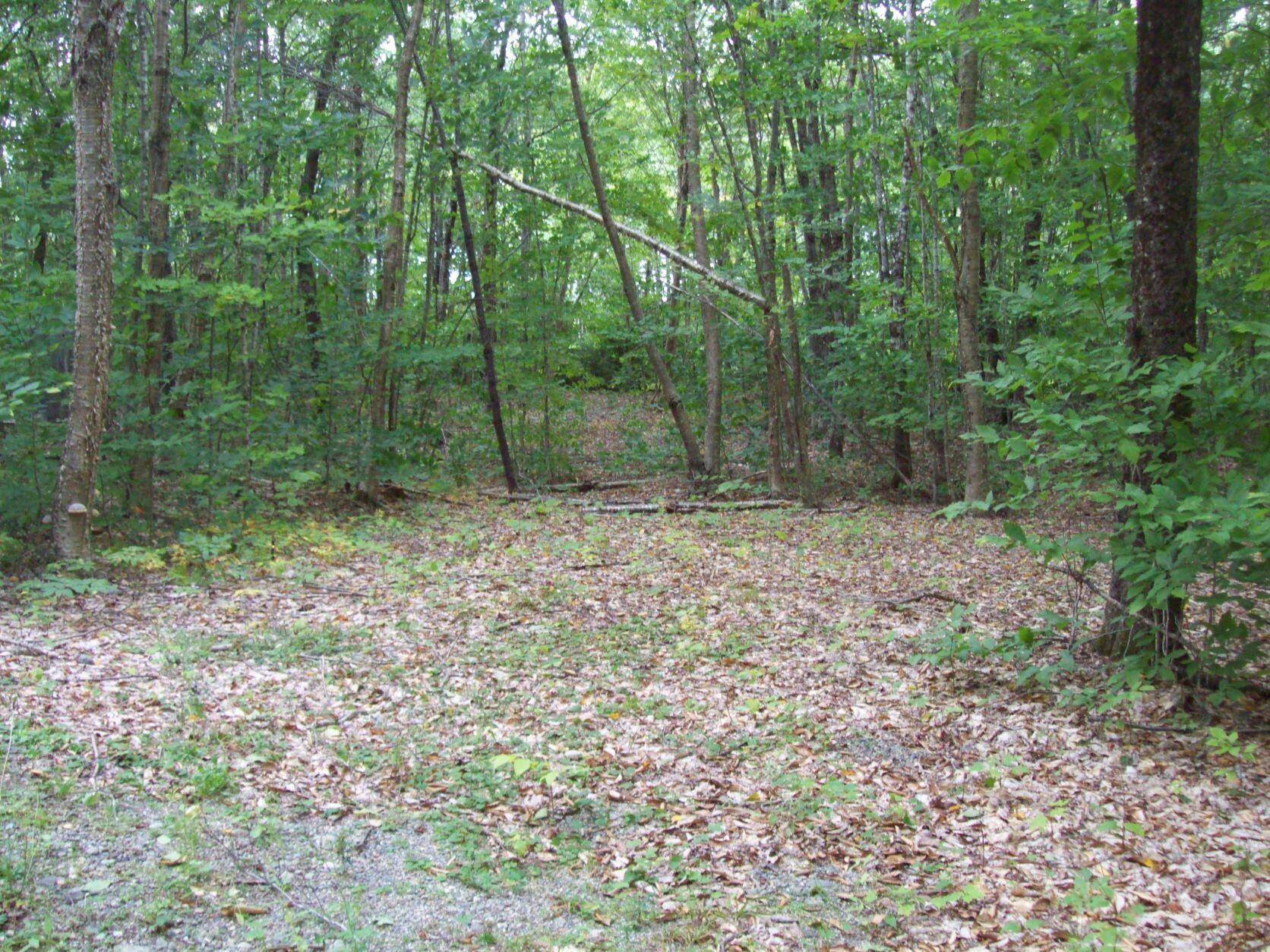 485 Spaulding Pond Road Lakeville, ME 04487 - Photo 5 of 14 100_3079