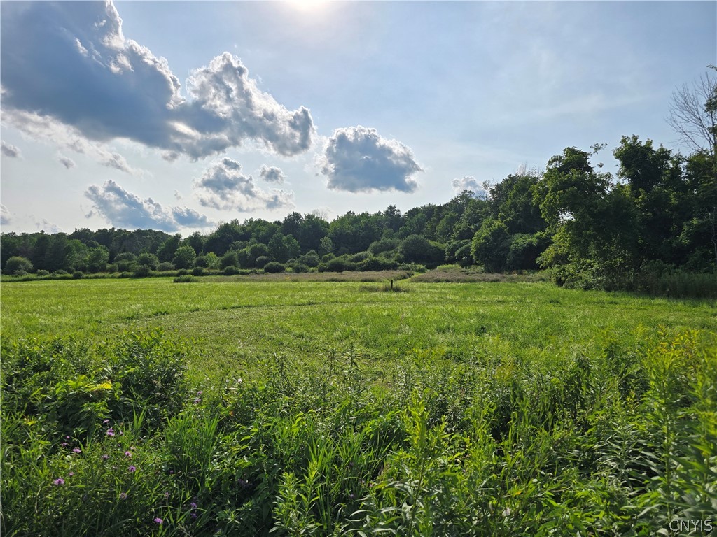 Berry Road La Fayette, NY 13084 - Photo 7 of 9 Existing well located on lot # 011.-02-07.3