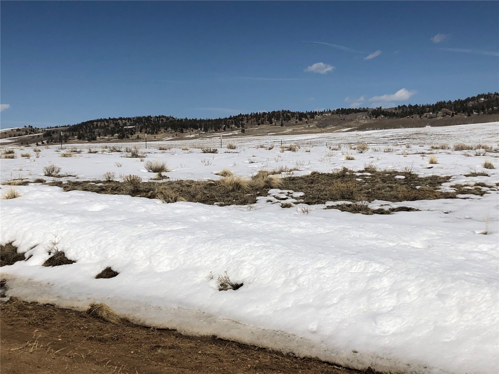 803 Link Road Como, CO 80432 - Photo 5 of 18