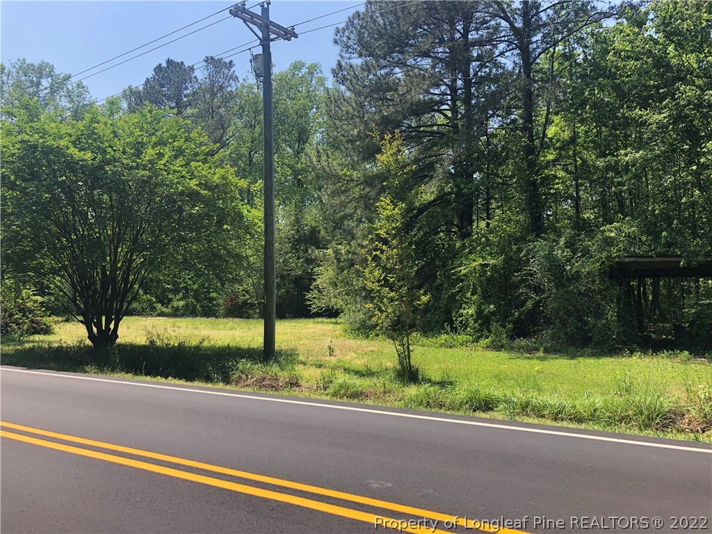 Minnie Hall Road Autryville, NC 28318 - Photo 1 of 2 Gallery Image 1