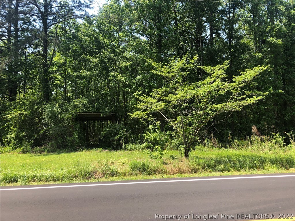 Minnie Hall Road Autryville, NC 28318 - Photo 2 of 2 Gallery Image 2