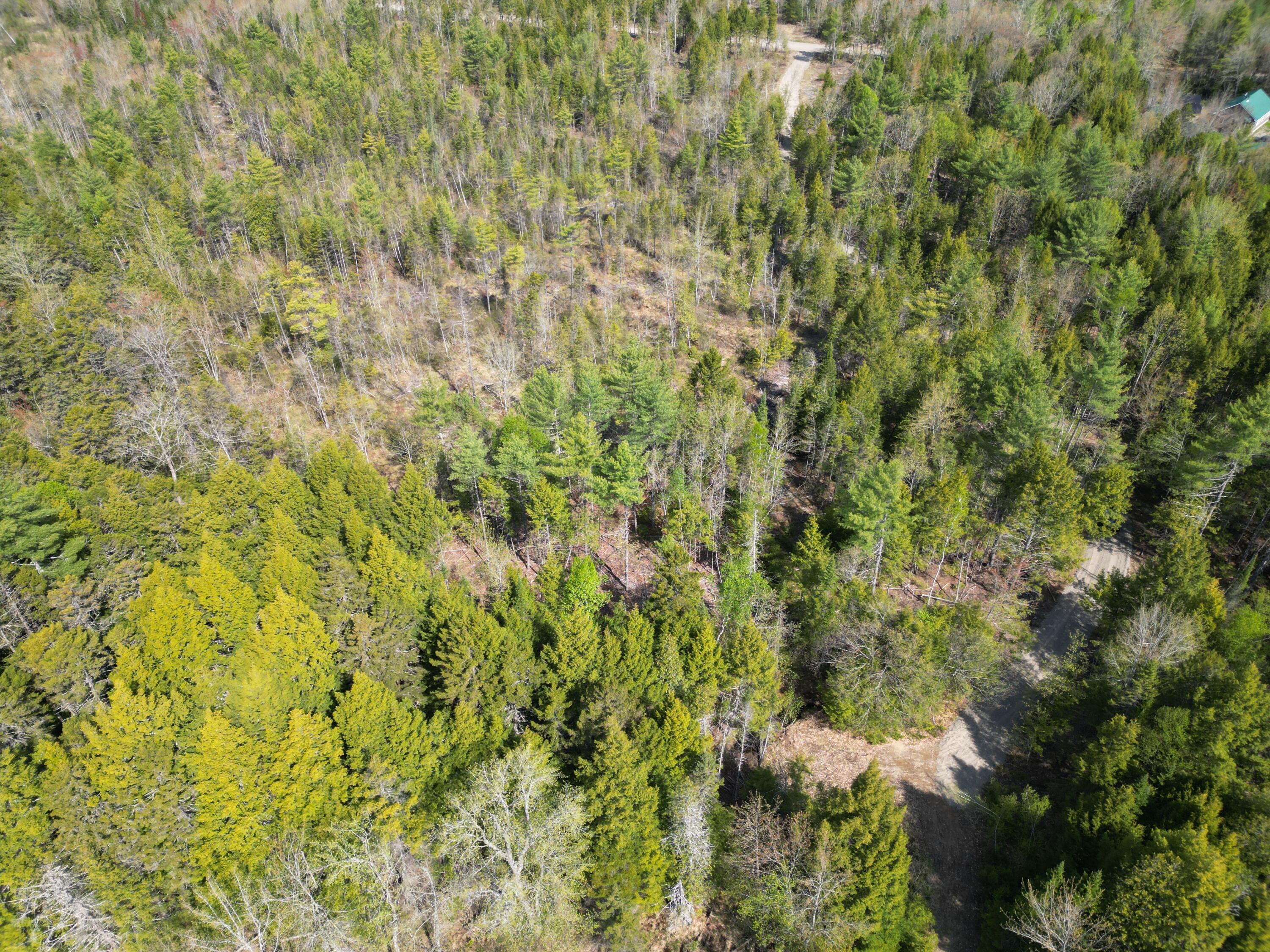 Lot 2 Off Mattamiscontis Road Howland, ME 04448 - Photo 16 of 16 DJI_0540