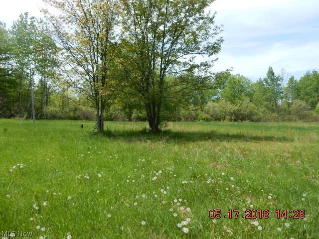 6522 Hall Road Andover, OH 44003 - Photo 10 of 14 Gallery Image 10
