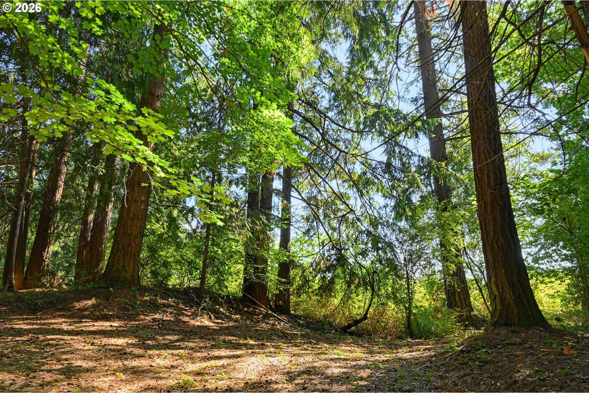 16990 Southeast Foster Road Gresham, OR 97080 - Photo 10 of 41 Gallery Image 10