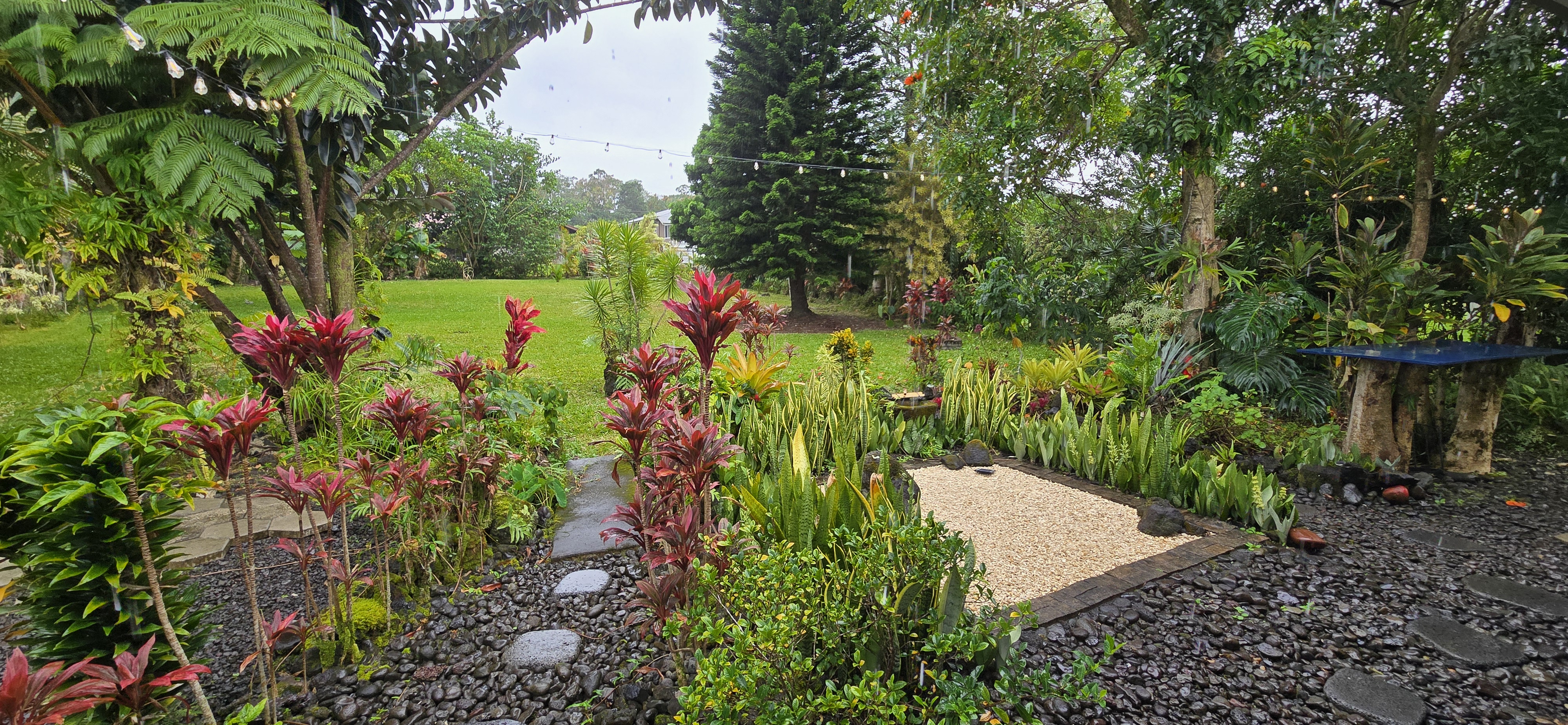 a backyard of a house with lots of green space and trees