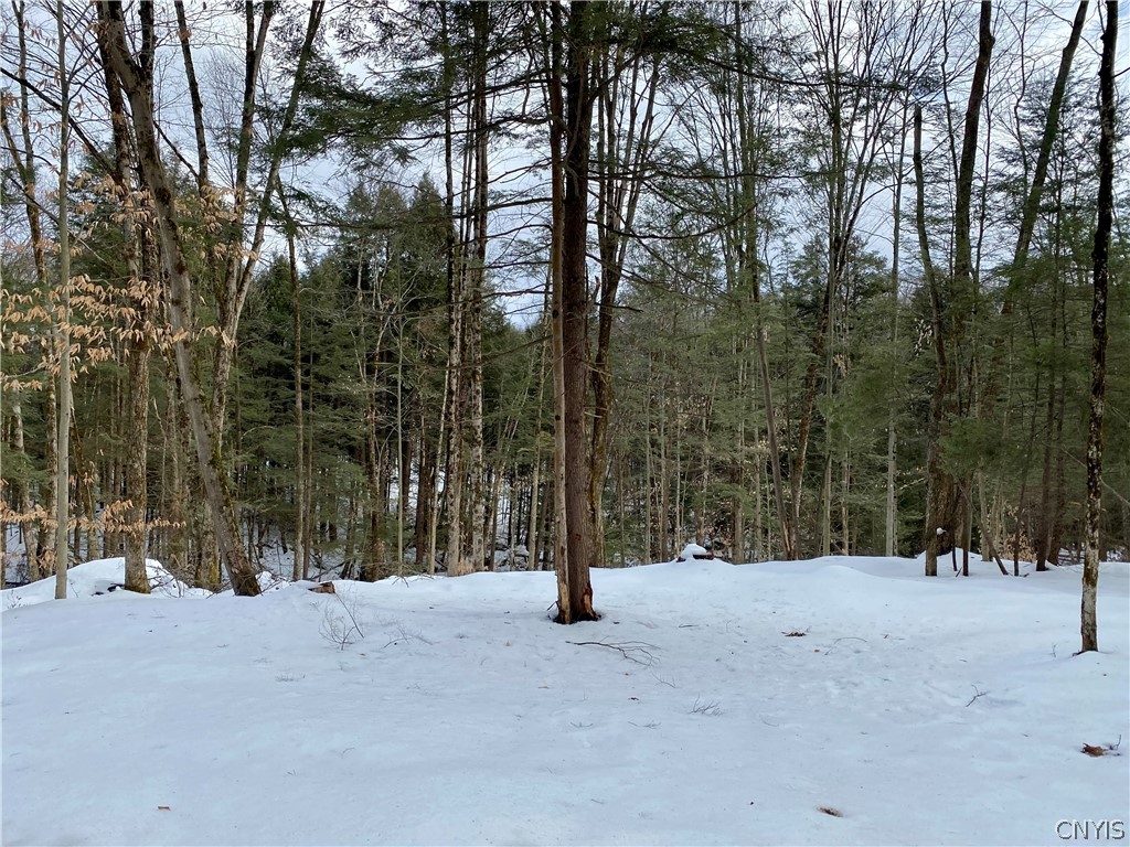 7060 Stearns Road Floyd, NY 13440 - Photo 1 of 1 Gallery Image 1