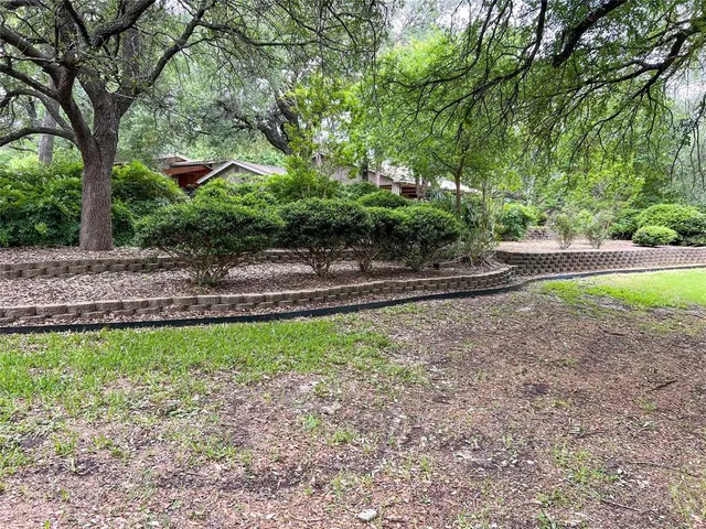 a view of a yard with plants and large trees