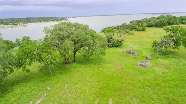 a view of a garden with a lake