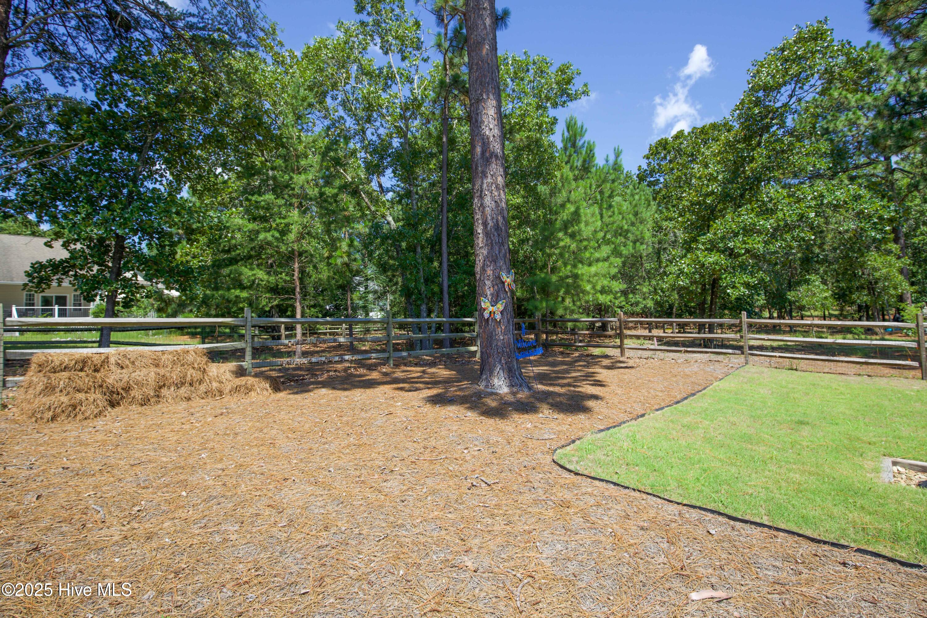 106 Schever Road West End, NC 27376 - Photo 72 of 76 106 Schever Rd-77