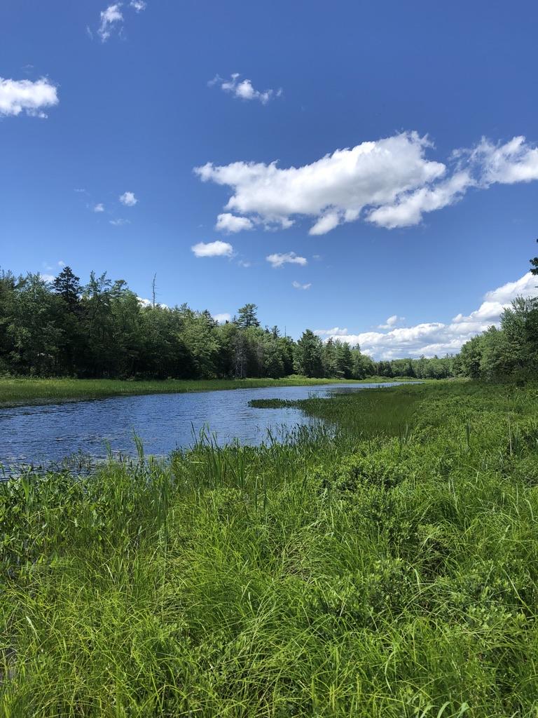 Tbd East River Road Pembroke, ME 04666 - Photo 1 of 17 river