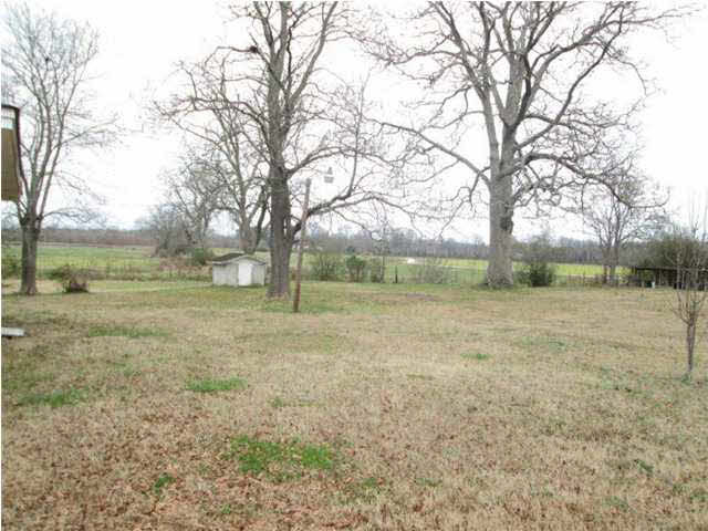441 Nichols Road Northwest Mantachie, MS 38855 - Photo 5 of 10 Photo 5