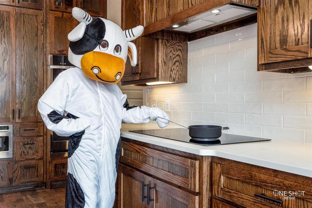 108 Kleingrass Road Abilene, TX 79606 - Photo 12 of 32