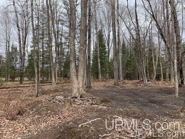 10649 I Road Cornell, MI 49818 - Photo 15 of 49