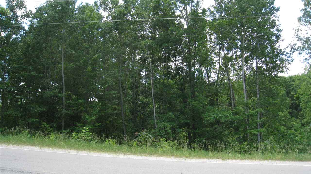 19090 Lindy Road Thompsonville, MI 49683 - Photo 31 of 43 1848243-32.JPG