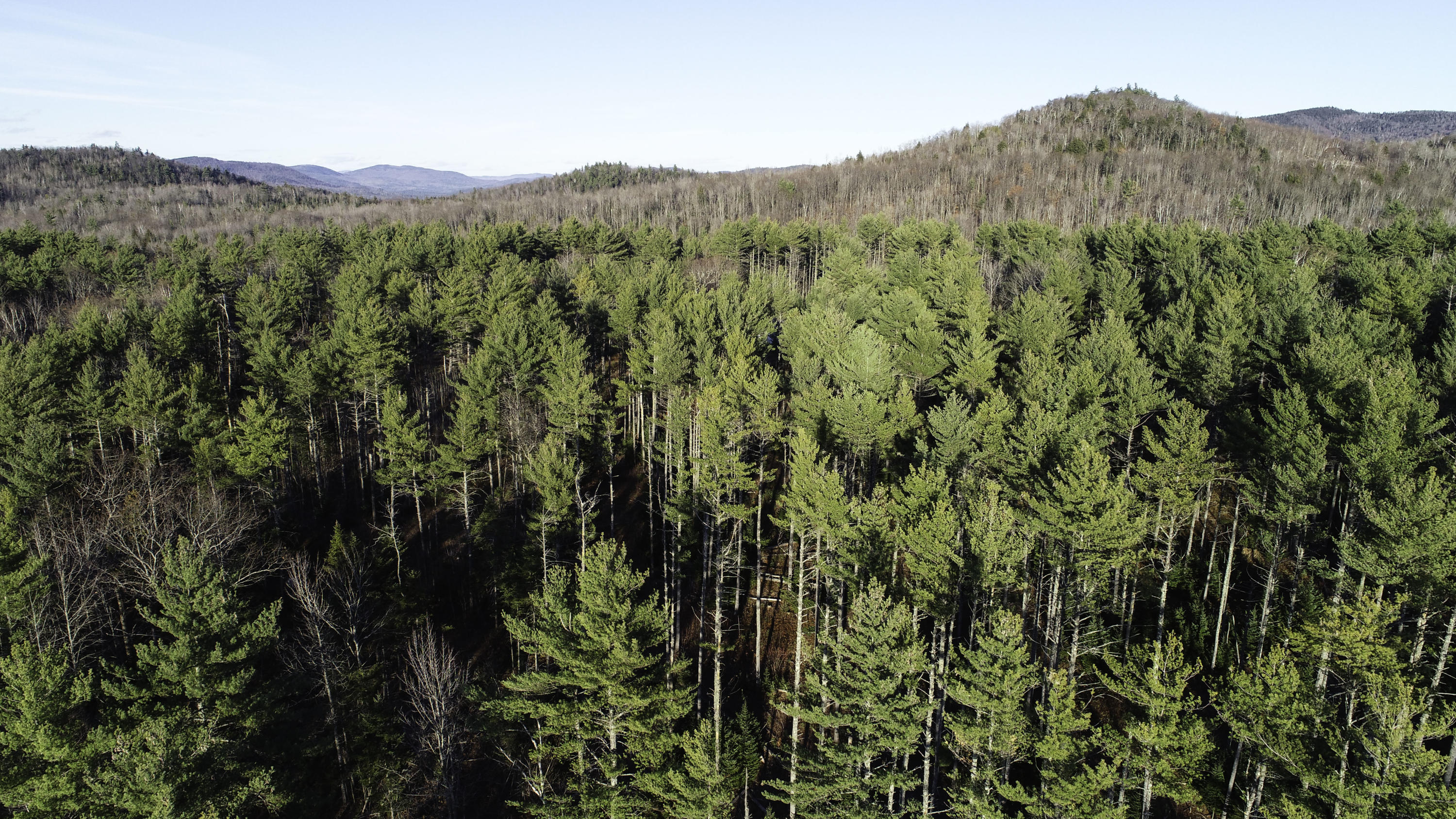 116 Chase Road Bethel, ME 04217 - Photo 28 of 47 DJI_0088