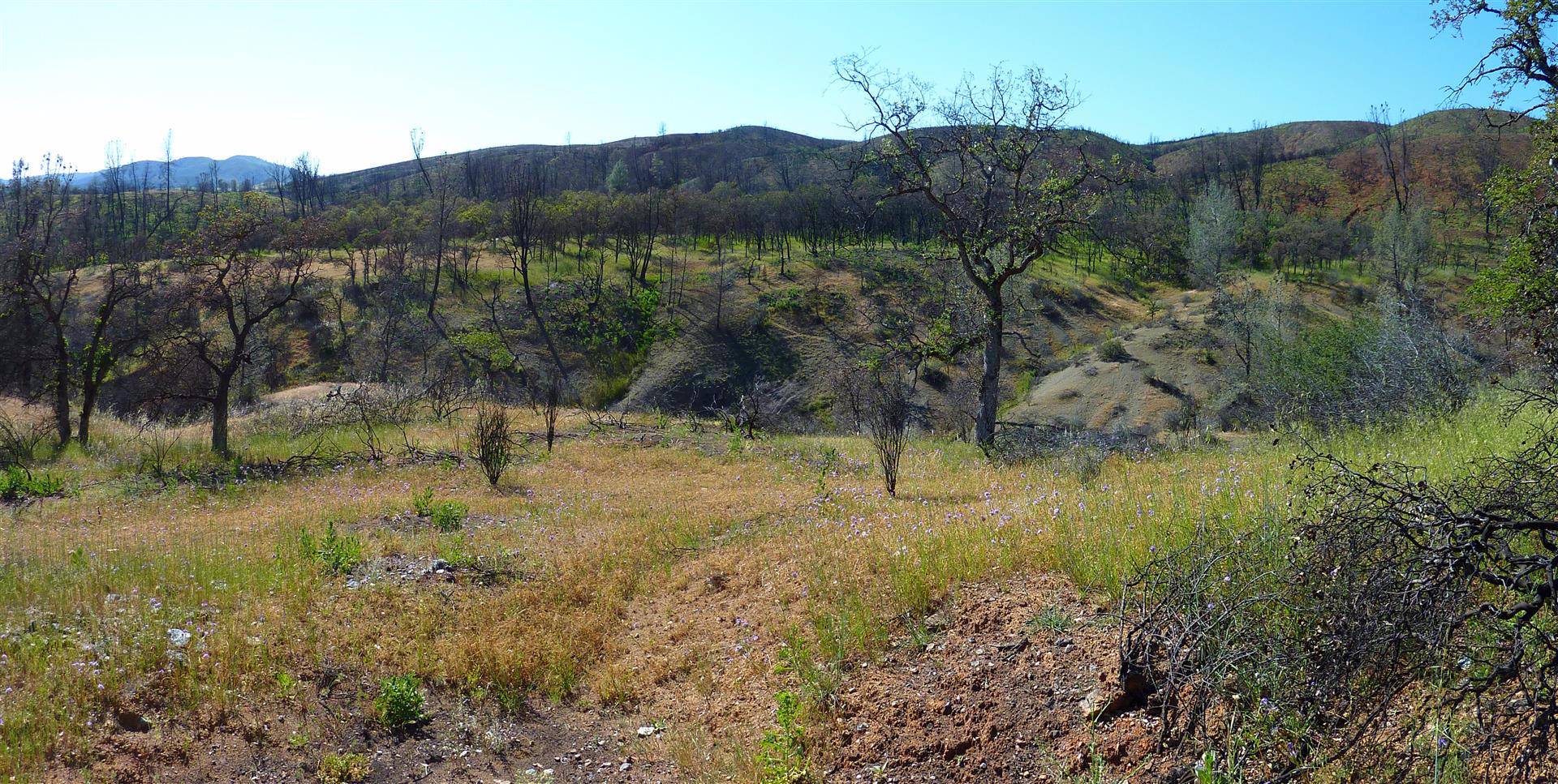 40-acres 40-acres Road Igo, CA 96047 - Photo 11 of 27 e