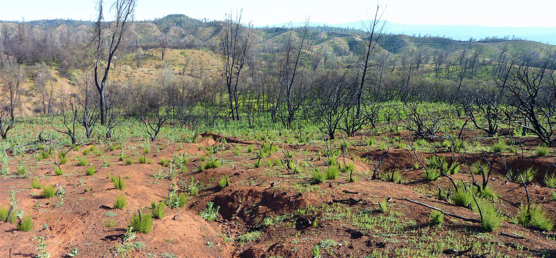 40-acres 40-acres Road Igo, CA 96047 - Photo 17 of 27 k