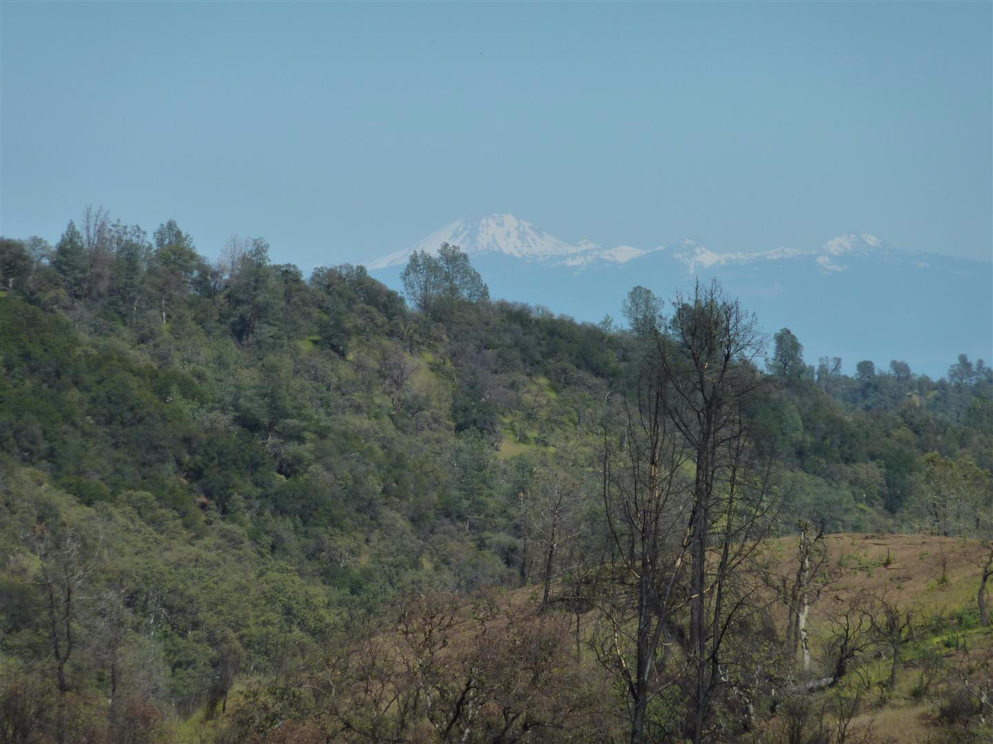 40-acres 40-acres Road Igo, CA 96047 - Photo 21 of 27 Mt Lassen