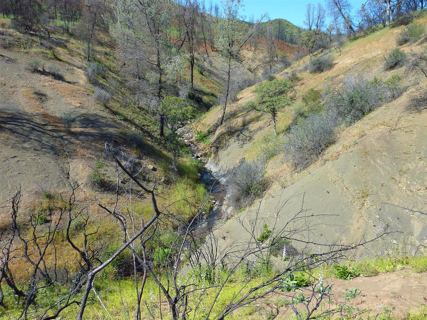40-acres 40-acres Road Igo, CA 96047 - Photo 23 of 27 P1050660
