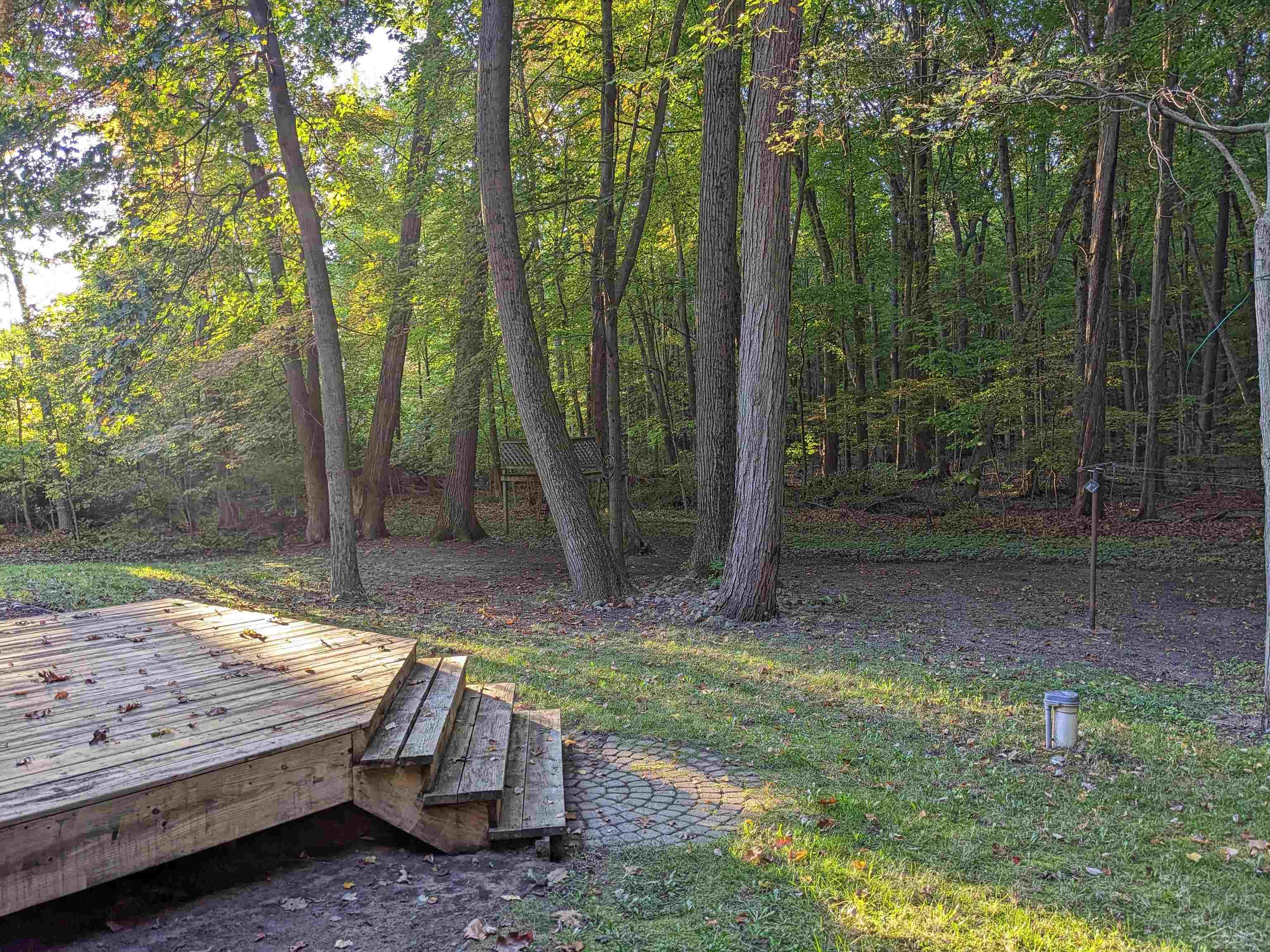 10590 Busch Road Birch Run, MI 48415 - Photo 40 of 50 50124373-39.JPG