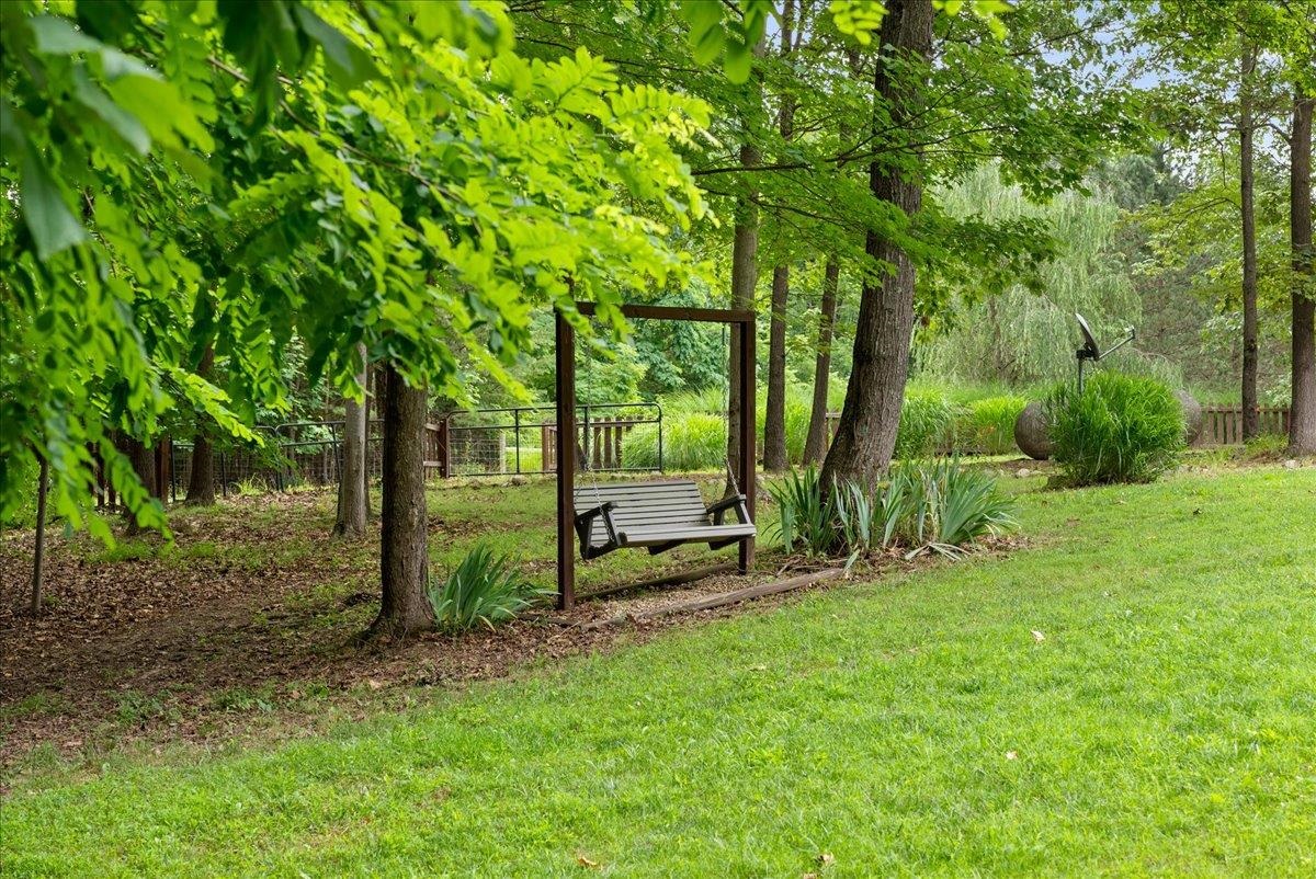 381 Enterprise Road Churchville, VA 24421 - Photo 4 of 43 a view of backyard with trees