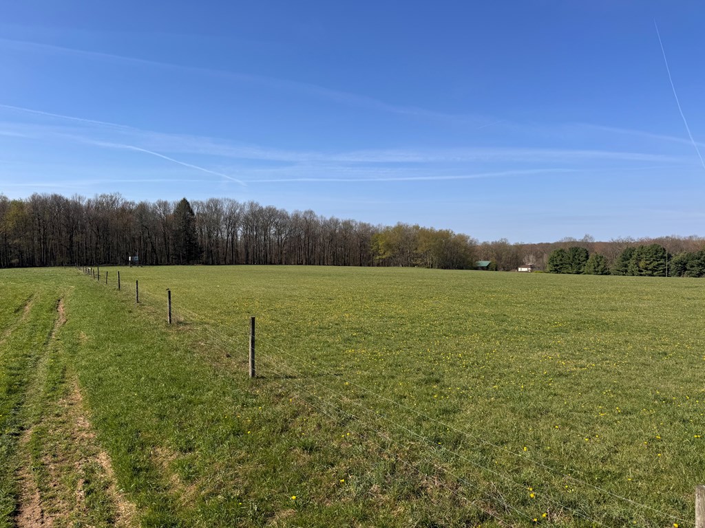 460 Turkey Farm Road Titusville, PA 16354 - Photo 2 of 11 a view of a garden with a building in the background