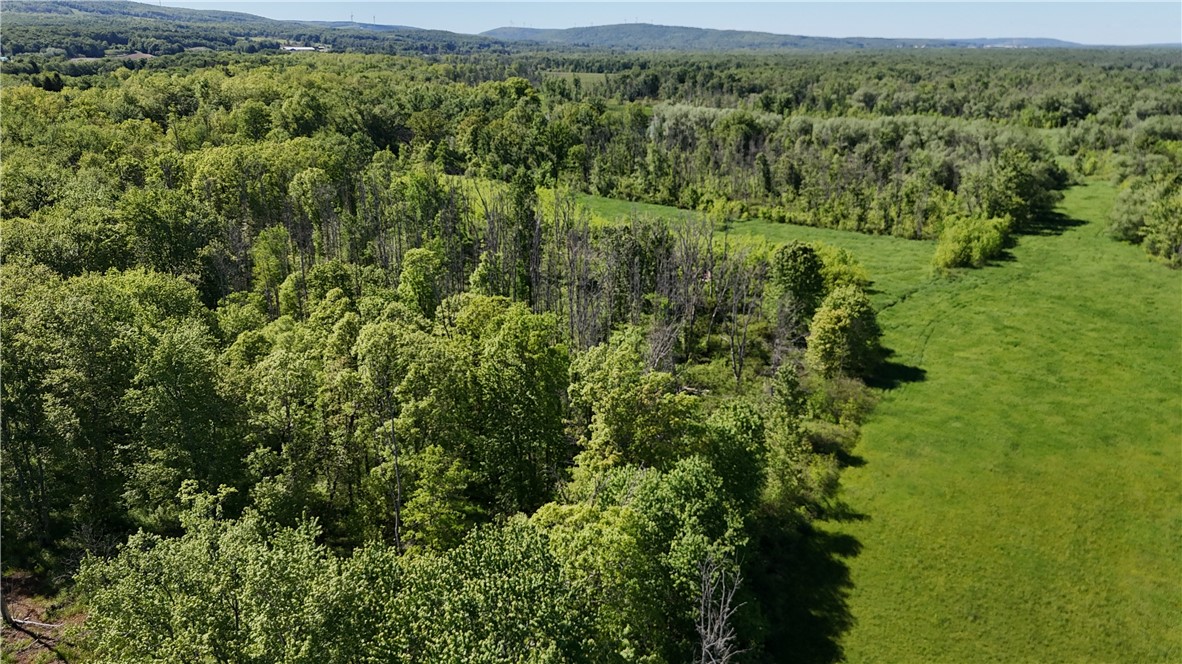 Dredge Ditch Road Conewango Valley, NY 14726 - Photo 2 of 21