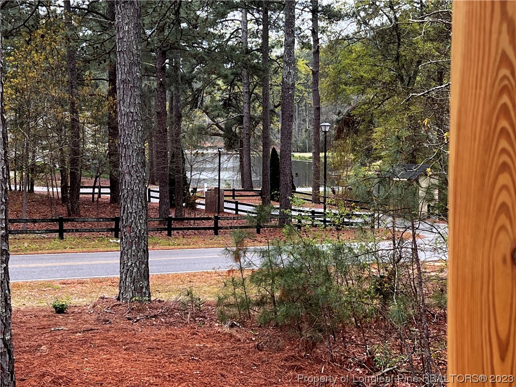 29861 Peach Orchard Road Wagram, NC 28396 - Photo 23 of 31 Gallery Image 23