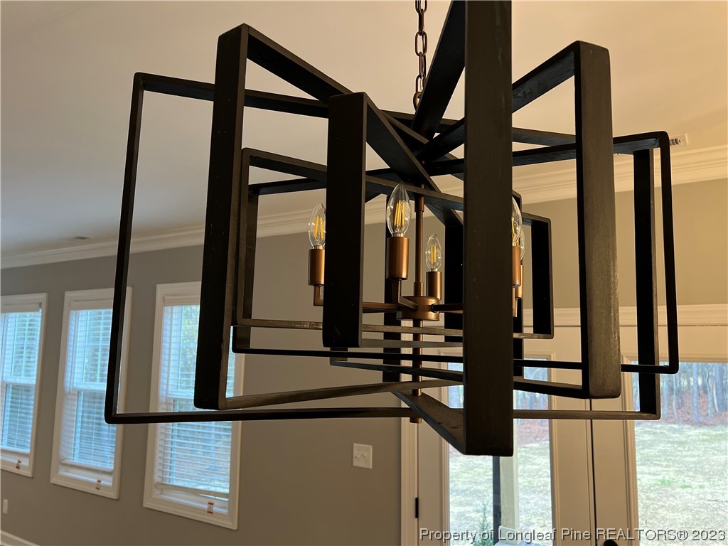 29861 Peach Orchard Road Wagram, NC 28396 - Photo 8 of 31 Gallery Image 8
