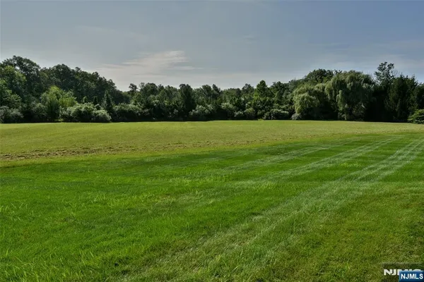 a view of field with trees in the background