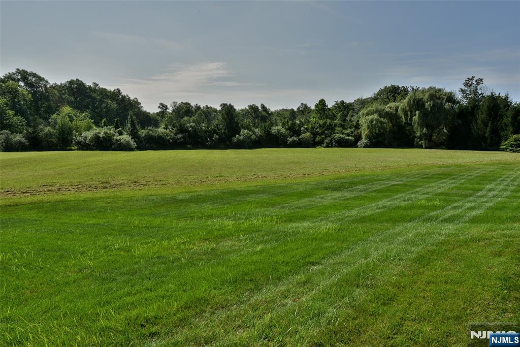 365 Mine Brook Road Far Hills, NJ 07931 - Photo 42 of 46