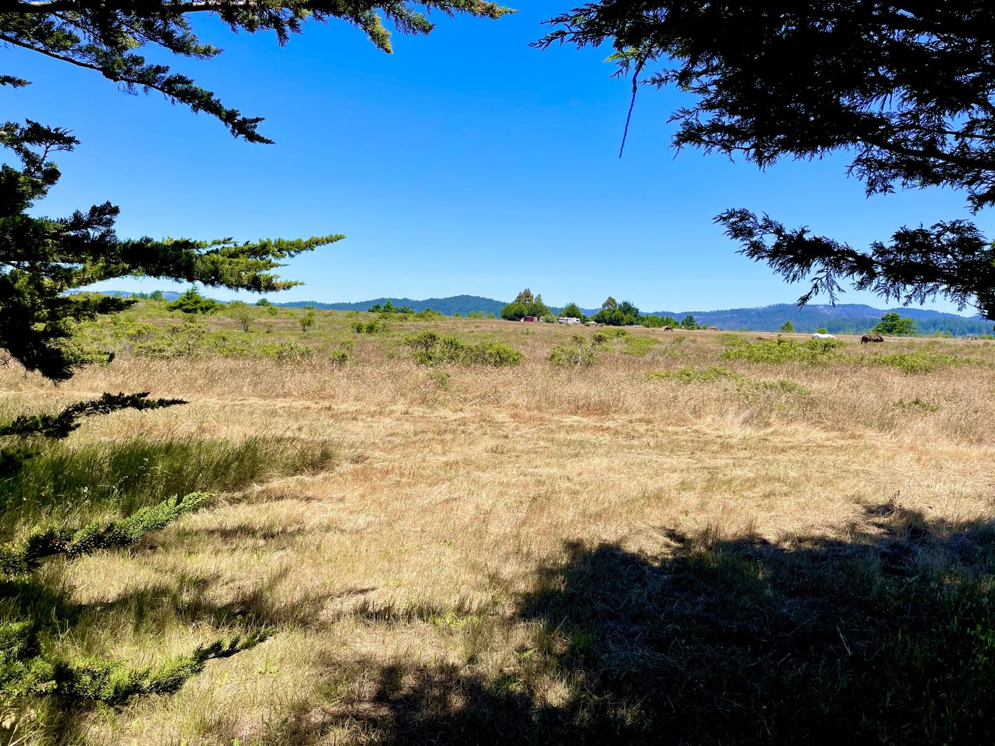 0 Pigeon Point Road Pescadero, CA 94060 - Photo 23 of 31