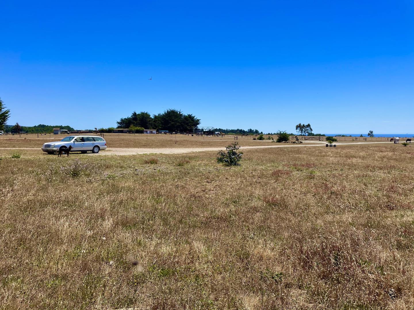 0 Pigeon Point Road Pescadero, CA 94060 - Photo 24 of 31