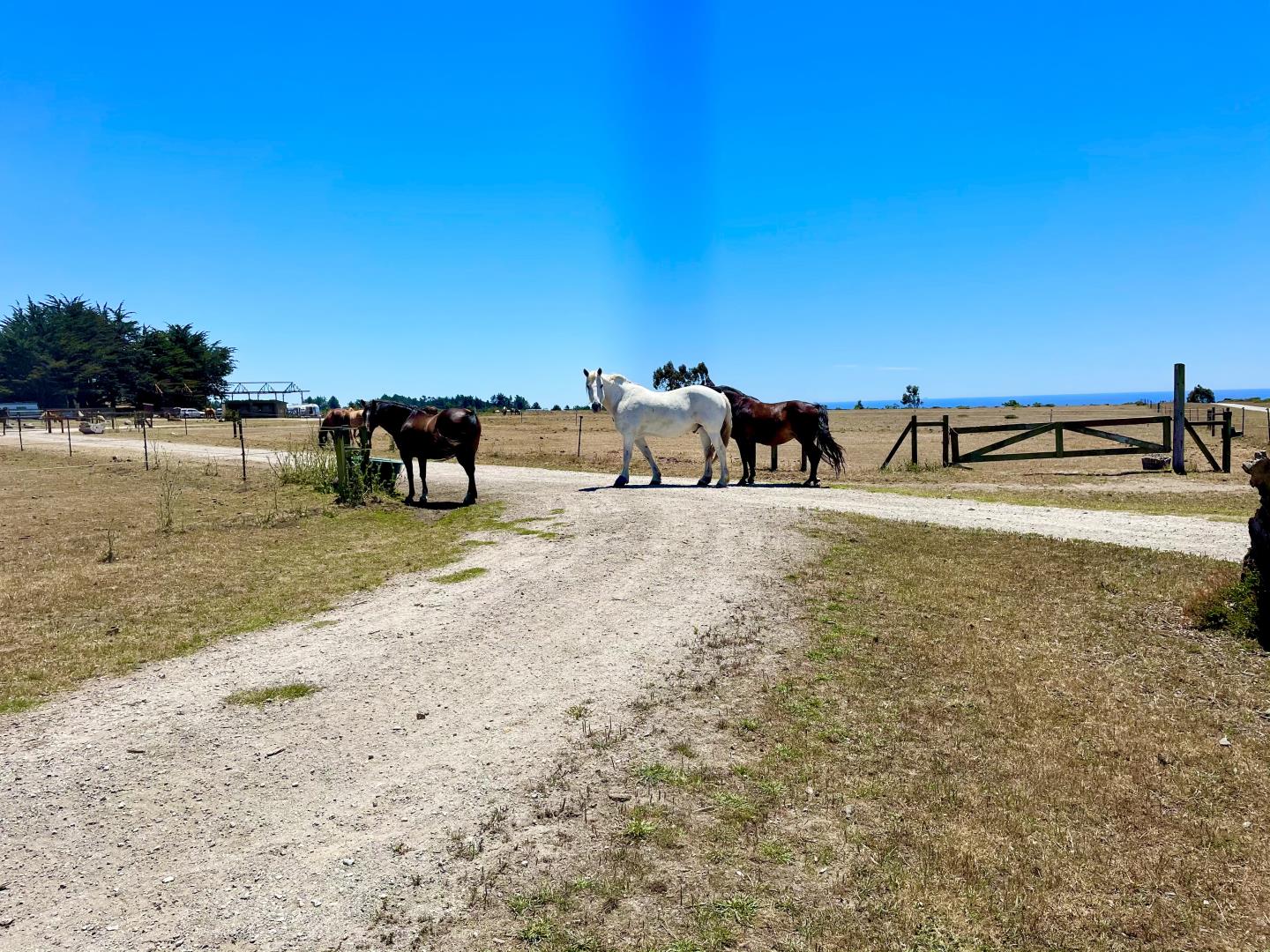 0 Pigeon Point Road Pescadero, CA 94060 - Photo 28 of 31