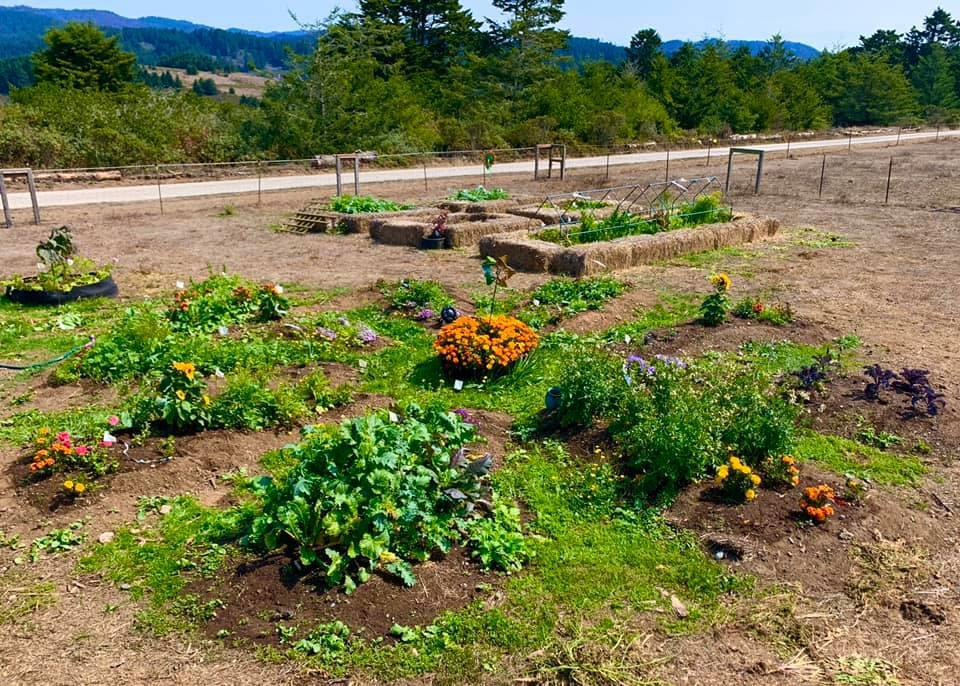 0 Pigeon Point Road Pescadero, CA 94060 - Photo 4 of 31