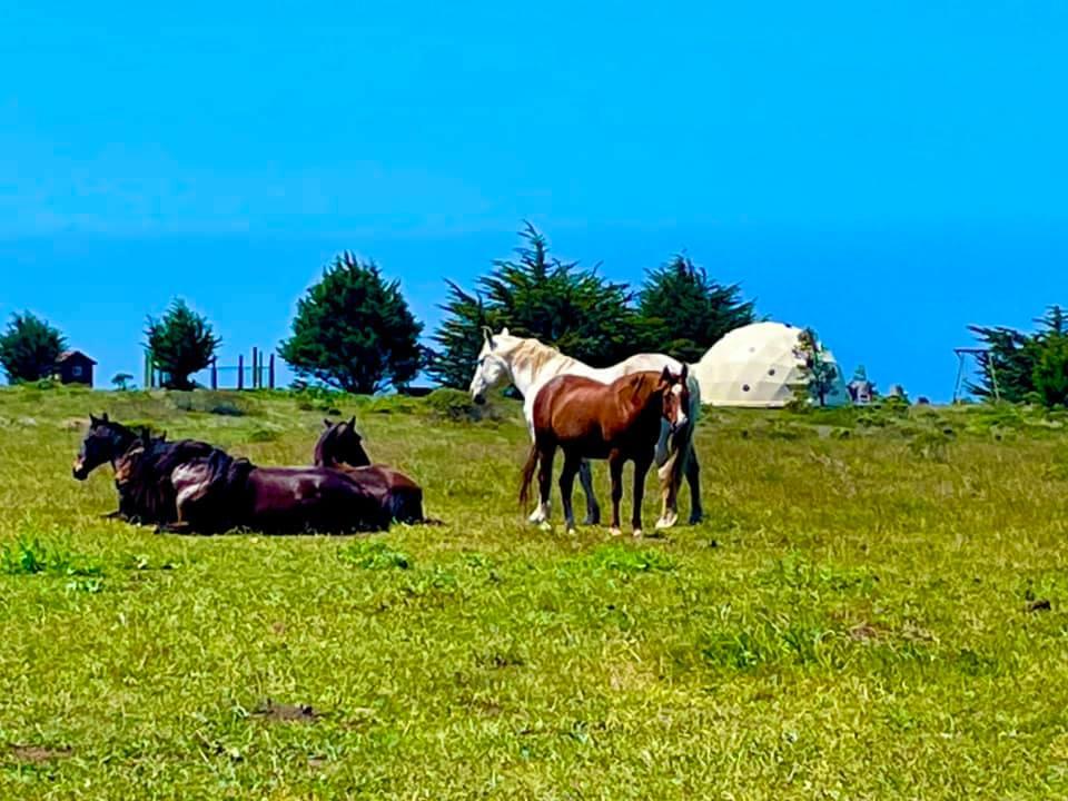 0 Pigeon Point Road Pescadero, CA 94060 - Photo 9 of 31