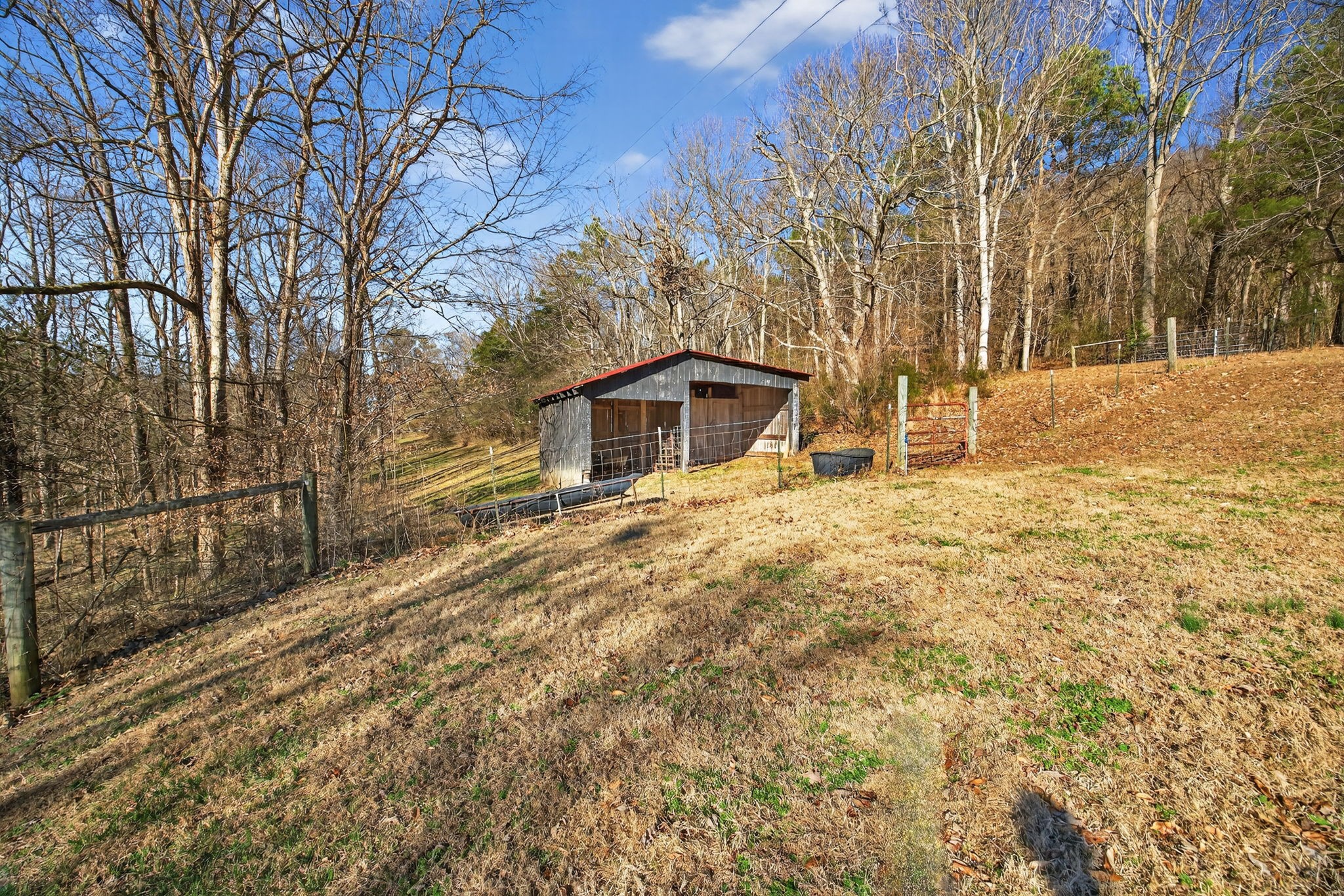 2895 Free State Road Gainesboro, TN 38562 - Photo 11 of 42 a backyard of a house with large trees