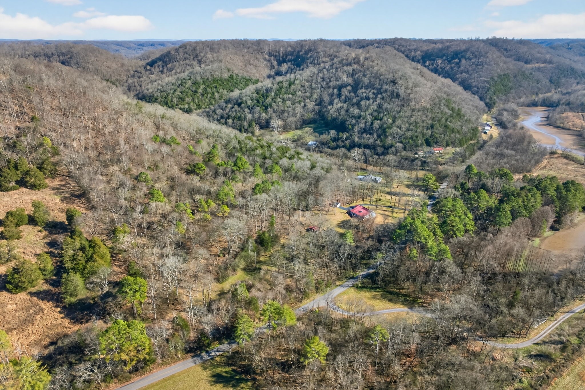 2895 Free State Road Gainesboro, TN 38562 - Photo 39 of 42 a view of a bunch of trees and bushes