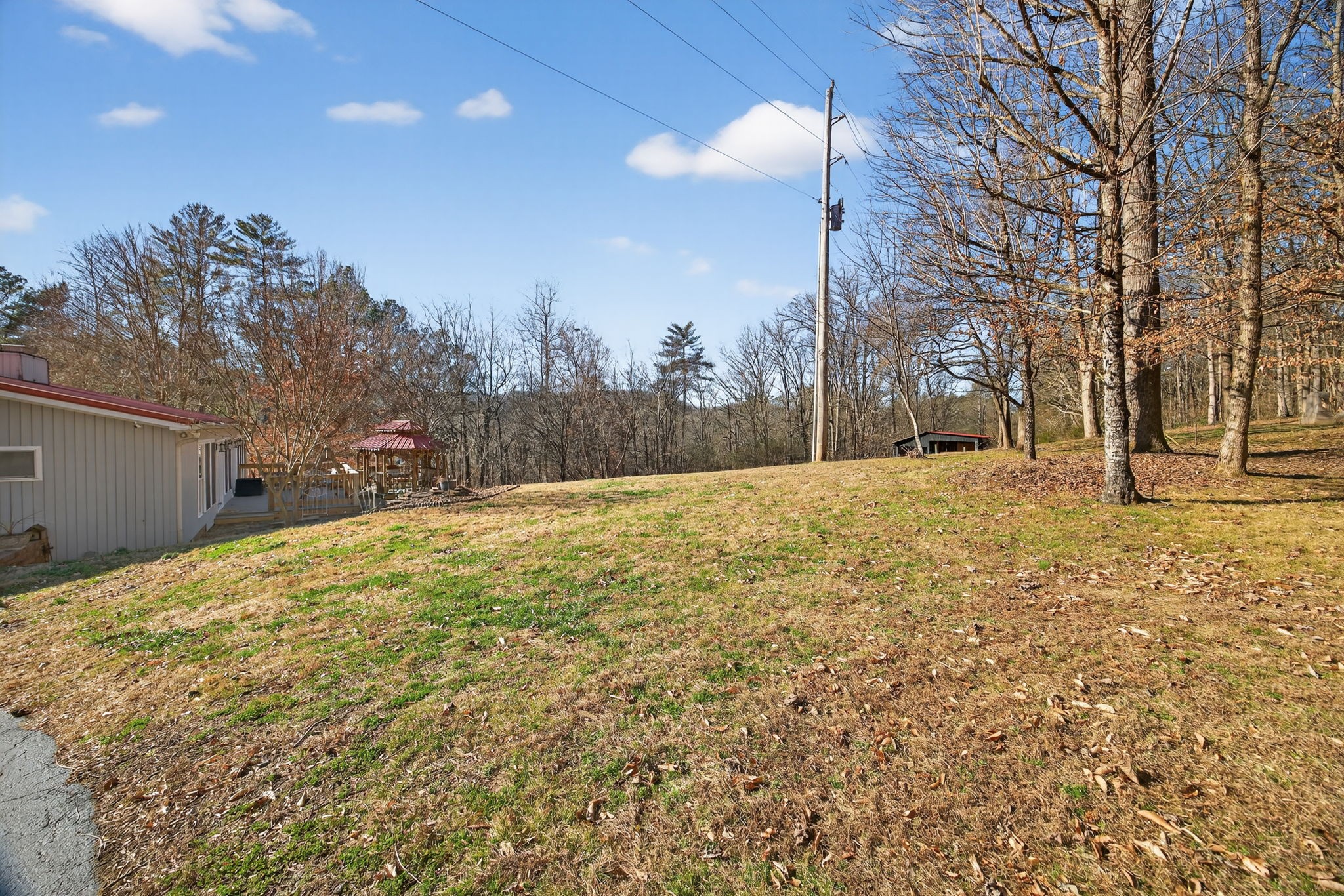 2895 Free State Road Gainesboro, TN 38562 - Photo 7 of 42 a view of large yard with large trees